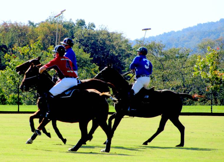 King Polo Ponies