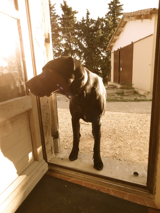 Clos de Trias "Tauro"