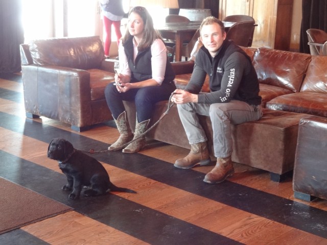 Hanging out at the Veritas Winery 