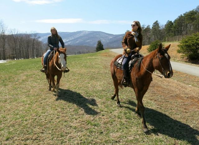 Veritas_Vineyard_Horseback_Riding