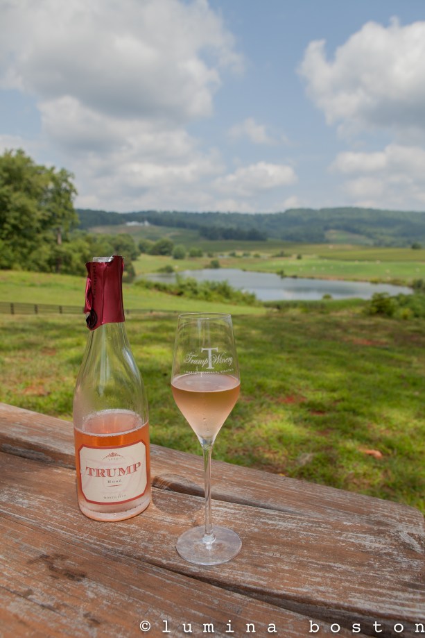 Charlottesville_Trump_Winery_View