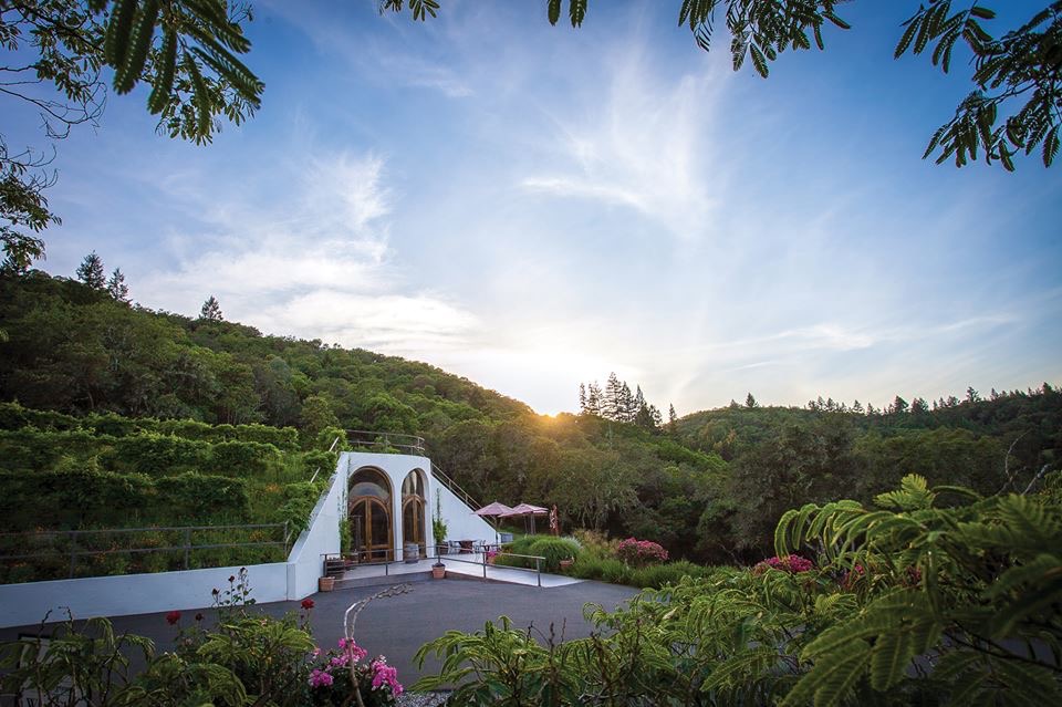 13537560_1238293899535974_8315174552705929812_n