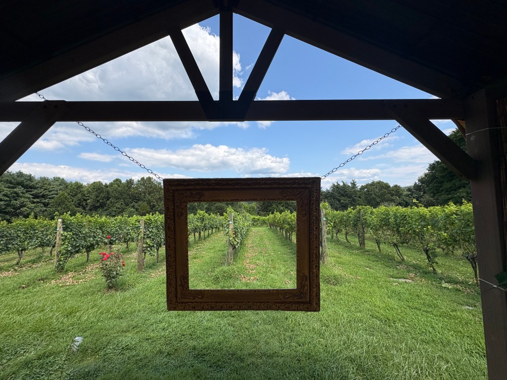 A decorative picture frame hanging from a wooden structure, framing a view of a vineyard with lush green rows of grapevines and a clear blue sky.